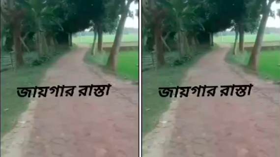 জমি বিক্রয় হবে, গাজীপুরের মাওনা চৌরাস্তা উজিলবর মুক্তিযোদ্ধা সড়কের তেজগাইয়া বাড়ি